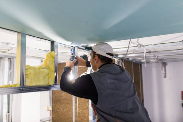 Best Spray Foam Insulation  in Rolling Hills, CA